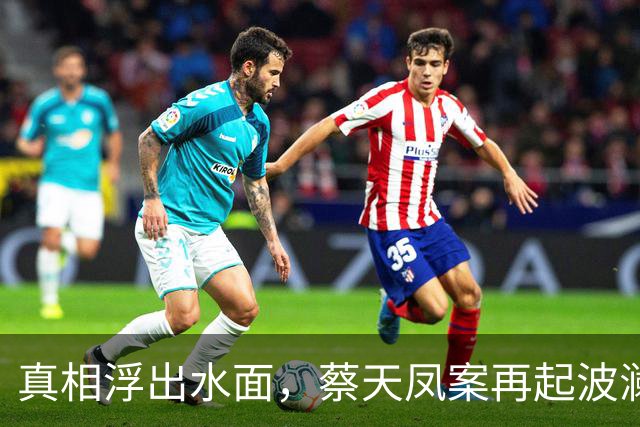 真相浮出水面，蔡天凤案再起波澜，前夫家大力撇清关系